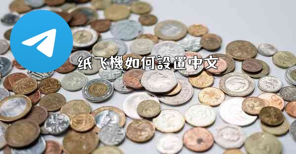 纸飞機如何設置中文