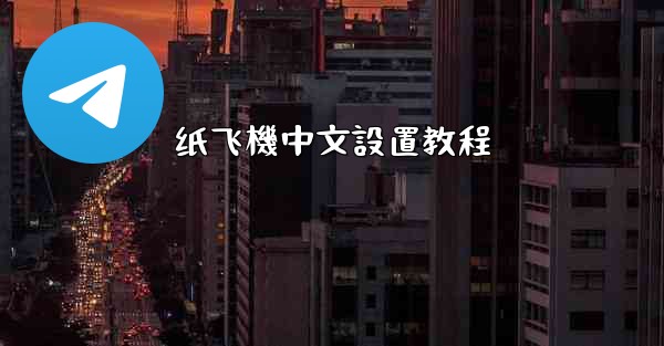 纸飞機中文設置教程