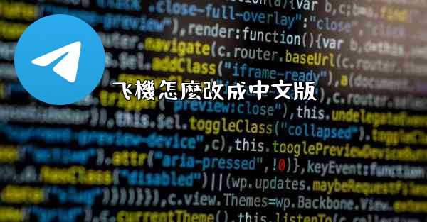 飞機怎麼改成中文版
