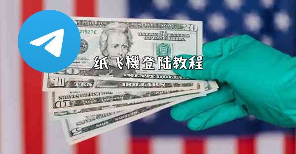 纸飞機登陆教程