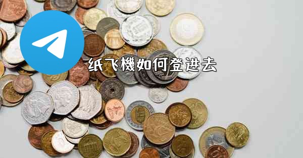 <b>纸飞機如何登进去</b>