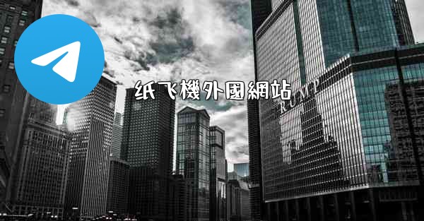 纸飞機外國網站