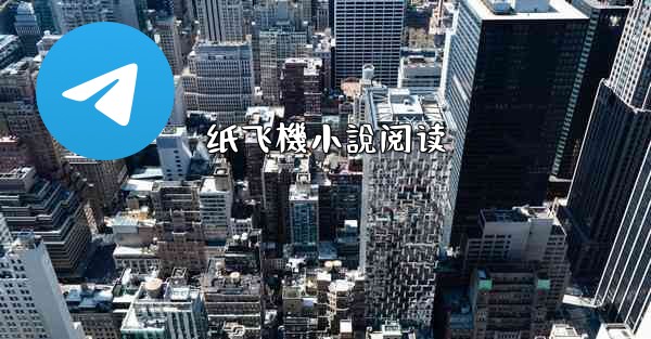 纸飞機小說阅读