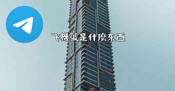 飞機號是什麼东西