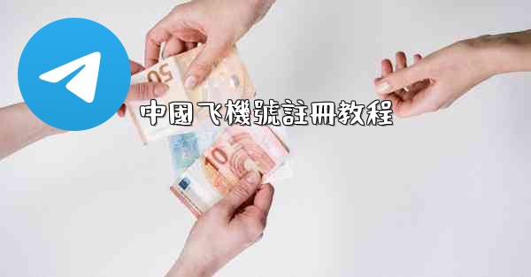 中國飞機號註冊教程