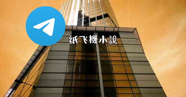 纸飞機小說