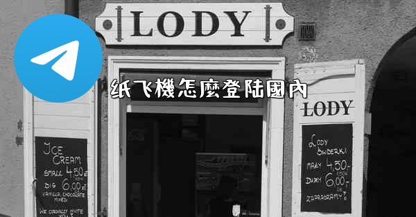 纸飞機怎麼登陆國內