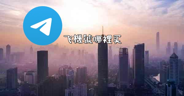 飞機號哪裡买