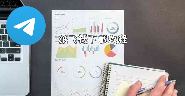 纸飞機下載教程