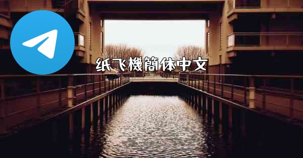 纸飞機簡体中文