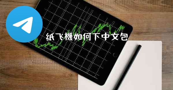 <b>纸飞機如何下中文包</b>