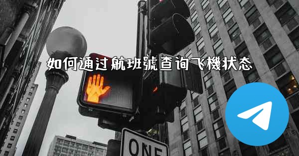 如何通过航班號查询飞機状态