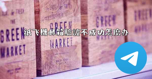 纸飞機邮箱驗證不成功怎麼办