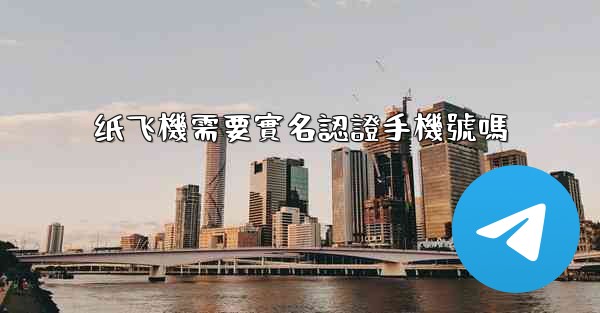 纸飞機需要實名認證手機號嗎