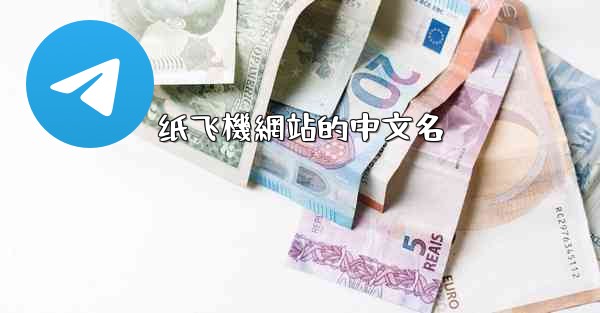 纸飞機網站的中文名