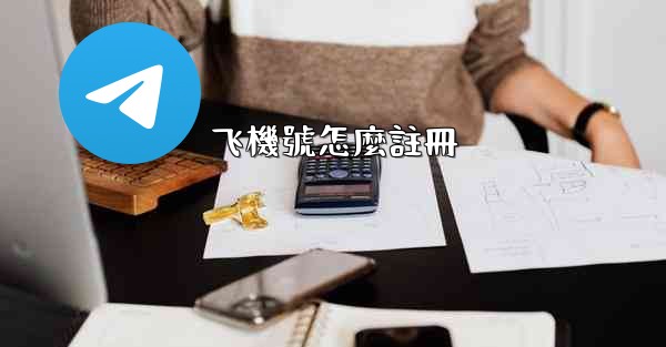飞機號怎麼註冊