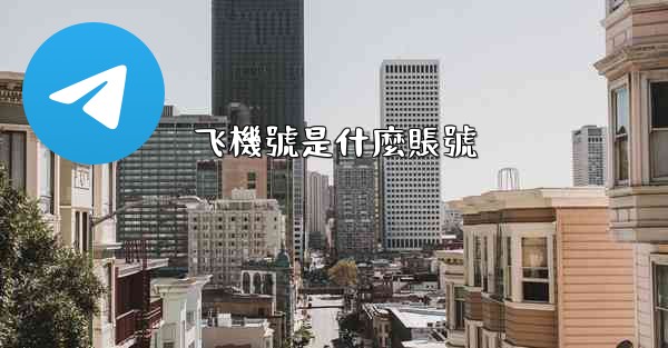 飞機號是什麼賬號