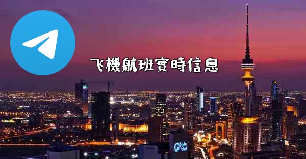 飞機航班實時信息