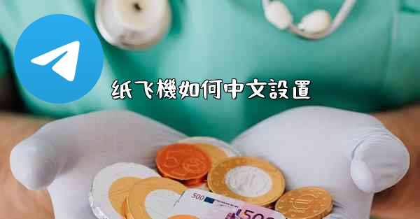 纸飞機如何中文設置