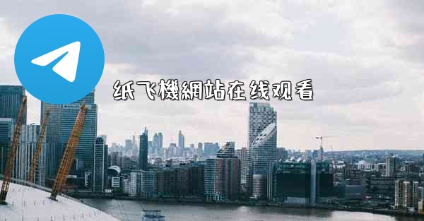 纸飞機網站在线观看