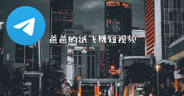 爸爸的纸飞機短视频