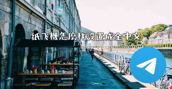 <b>纸飞機怎麼样設置成全中文</b>