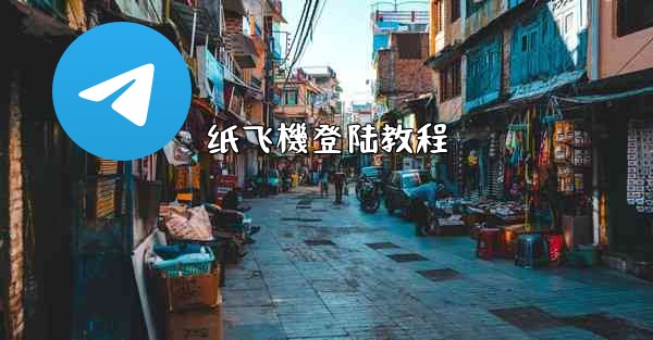 纸飞機登陆教程