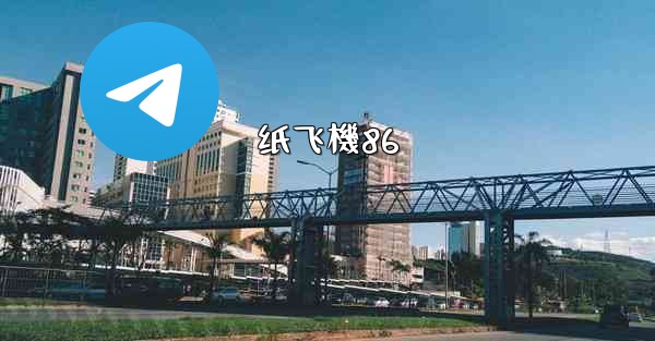 <b>纸飞機86</b>