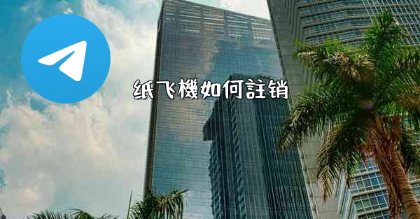 纸飞機如何註销