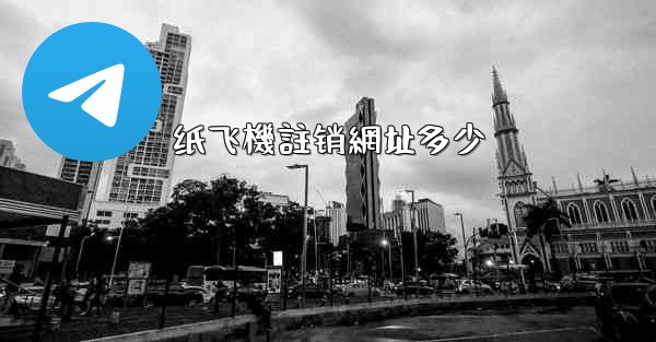 纸飞機註销網址多少