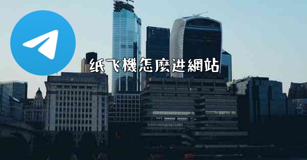 纸飞機怎麼进網站