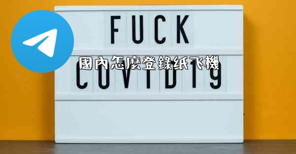 國內怎麼登錄纸飞機