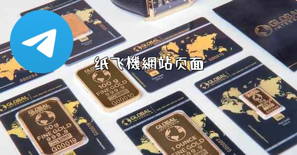 纸飞機網站页面