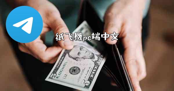 <b>纸飞機pc端中文</b>