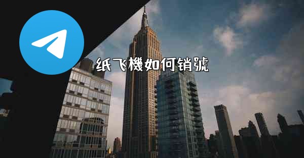 纸飞機如何销號