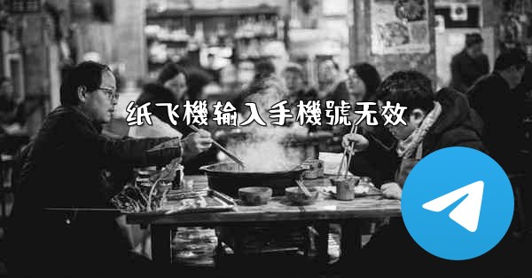 纸飞機输入手機號无效