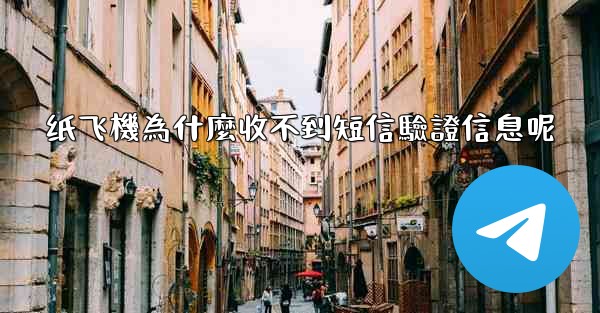 纸飞機為什麼收不到短信驗證信息呢