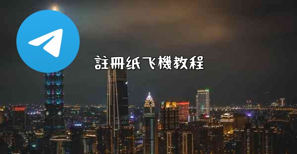 註冊纸飞機教程