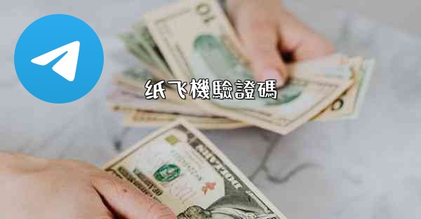 纸飞機驗證碼