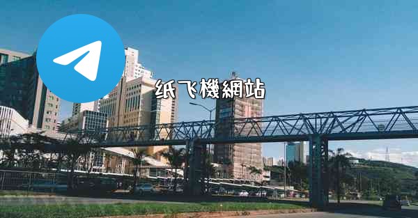 纸飞機網站