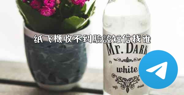 纸飞機收不到驗證短信找谁