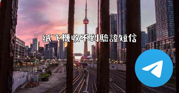 纸飞機收不到驗證短信