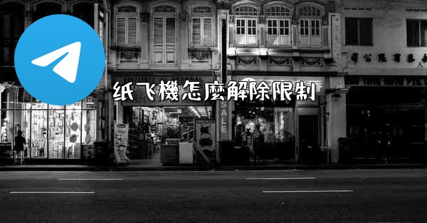 纸飞機怎麼解除限制