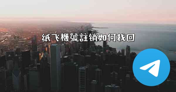 纸飞機號註销如何找回