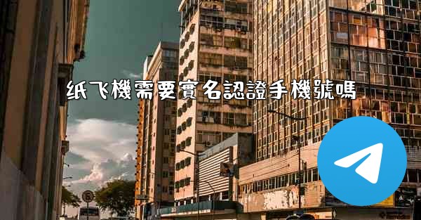 纸飞機需要實名認證手機號嗎