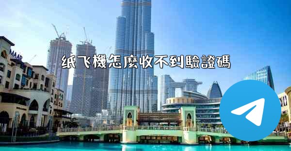 纸飞機怎麼收不到驗證碼