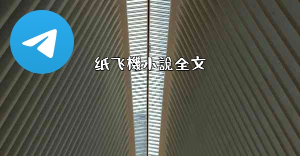 纸飞機小說全文