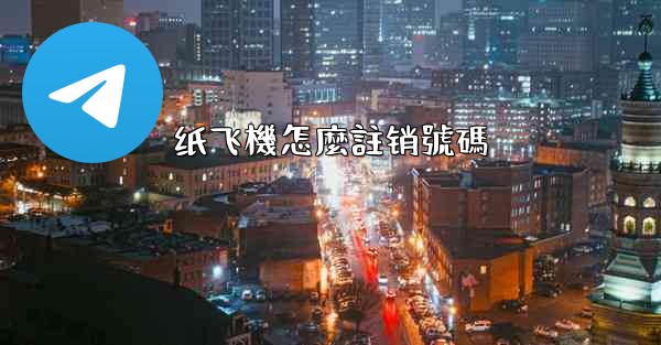 纸飞機怎麼註销號碼