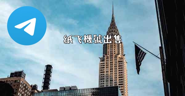 纸飞機號出售