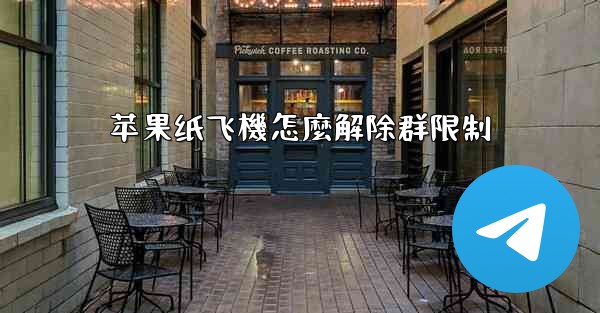 苹果纸飞機怎麼解除群限制